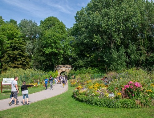 Les beaux jours reviennent : bienvenue dans la « Ville-Jardin »